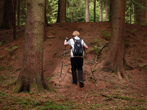 Nordic walking