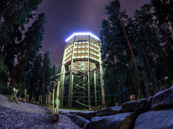 Lipno Treetop Walkway