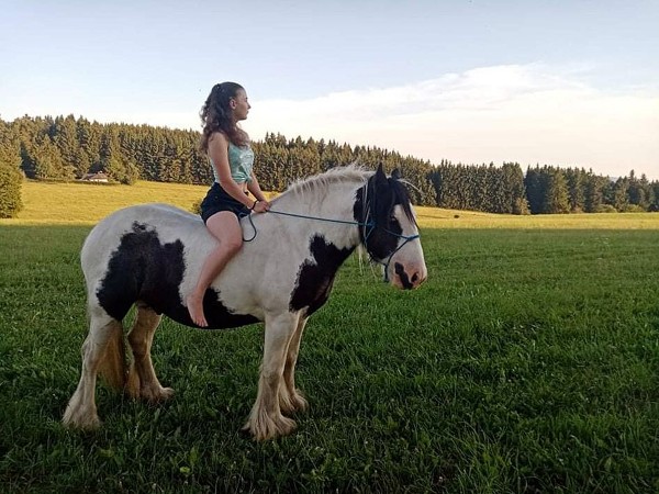 Horse riding